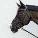 Kentucky Anti - vlieg neusnetje Vliegenmaskers en lintjes - Maddelin Equestrian Kentucky