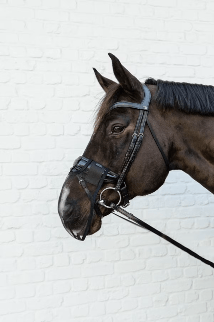 Kentucky Anti - vlieg neusnetje Vliegenmaskers en lintjes - Maddelin Equestrian Kentucky