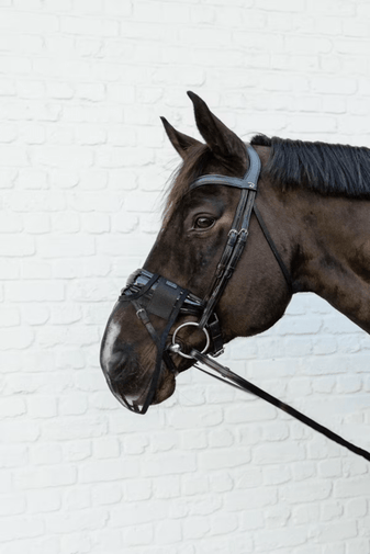 Kentucky Anti - vlieg neusnetje Vliegenmaskers en lintjes - Maddelin Equestrian Kentucky