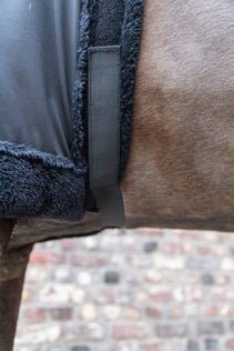 Kentucky Borstbeschermer Toebehoren - Maddelin Equestrian Kentucky