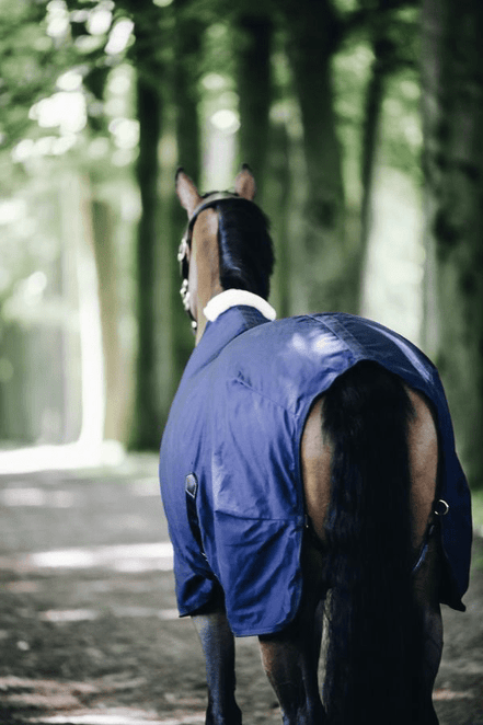 Kentucky Cotton Sheet Staldeken - Maddelin Equestrian Kentucky