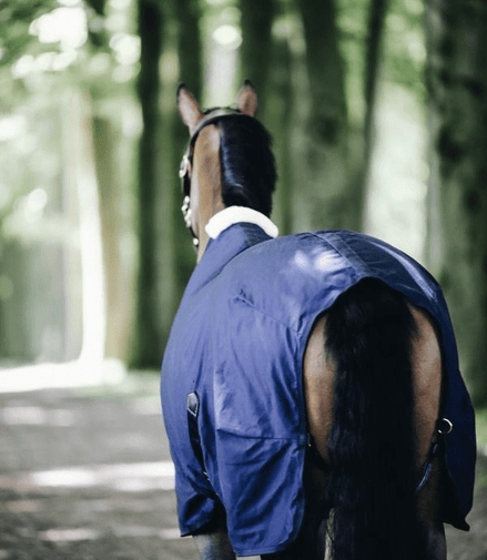 Kentucky Cotton Sheet Staldeken - Maddelin Equestrian Kentucky