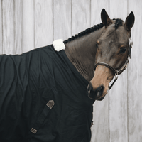 Kentucky Cotton Sheet Staldeken - Maddelin Equestrian Kentucky