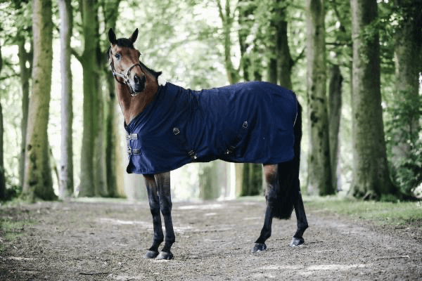 Kentucky Cotton Sheet Staldeken - Maddelin Equestrian Kentucky