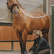 Kentucky Cryo Ice Boots Transport, therapeutisch en stalbeschermers - Maddelin Equestrian Kentucky