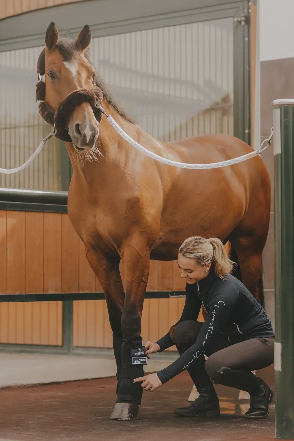 Kentucky Cryo Ice Boots Transport, therapeutisch en stalbeschermers - Maddelin Equestrian Kentucky