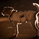 Kentucky Dog Coat Reflective & Water Repellent Dogwear - Maddelin Equestrian Kentucky