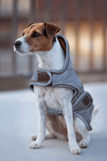 Kentucky Dog Coat Reflective & Water Repellent Dogwear - Maddelin Equestrian Kentucky