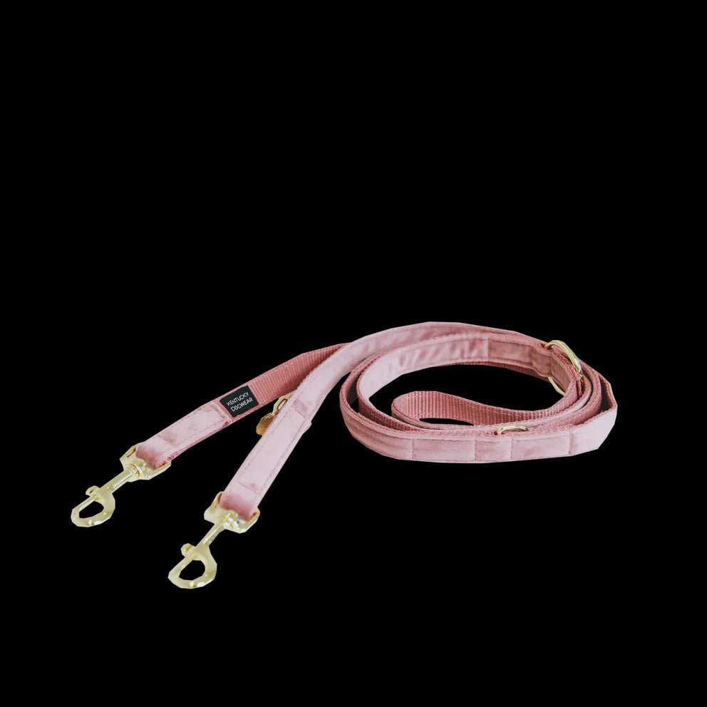 Kentucky Dog Leash Velvet Adjustable Dogwear - Maddelin Equestrian Kentucky