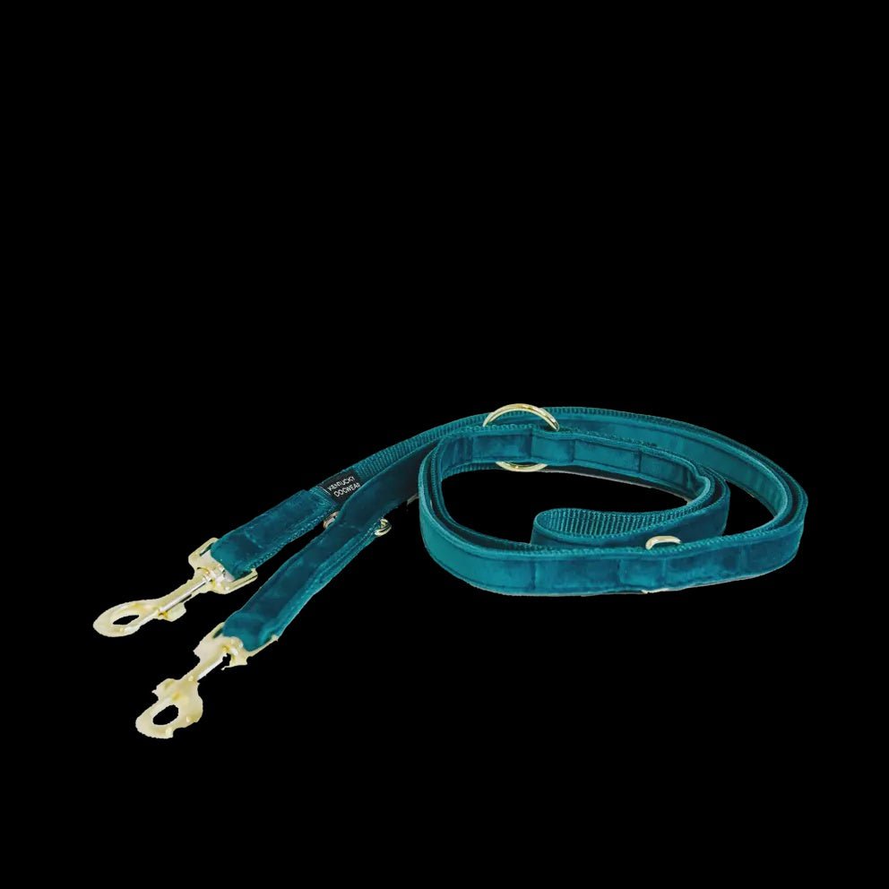 Kentucky Dog Leash Velvet Adjustable Dogwear - Maddelin Equestrian Kentucky