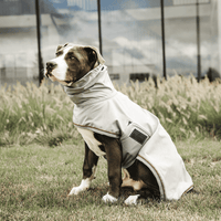 Kentucky Dog Raincoat Dogwear - Maddelin Equestrian Kentucky