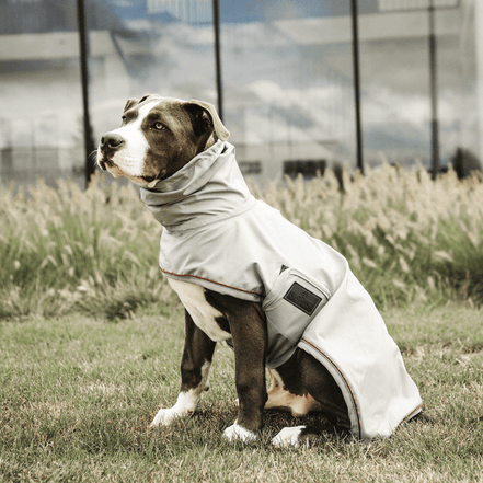 Kentucky Dog Raincoat Dogwear - Maddelin Equestrian Kentucky