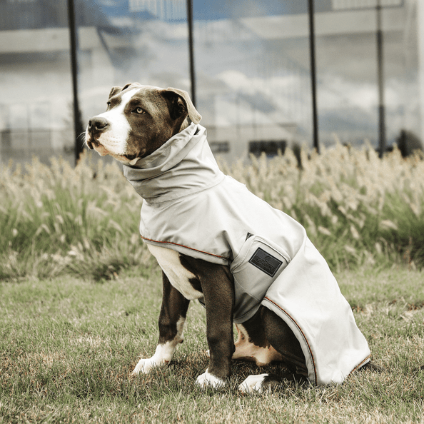 Kentucky Dog Raincoat Dogwear - Maddelin Equestrian Kentucky