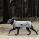Kentucky Dog Raincoat Dogwear - Maddelin Equestrian Kentucky
