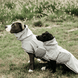 Kentucky Dog Raincoat Dogwear - Maddelin Equestrian Kentucky