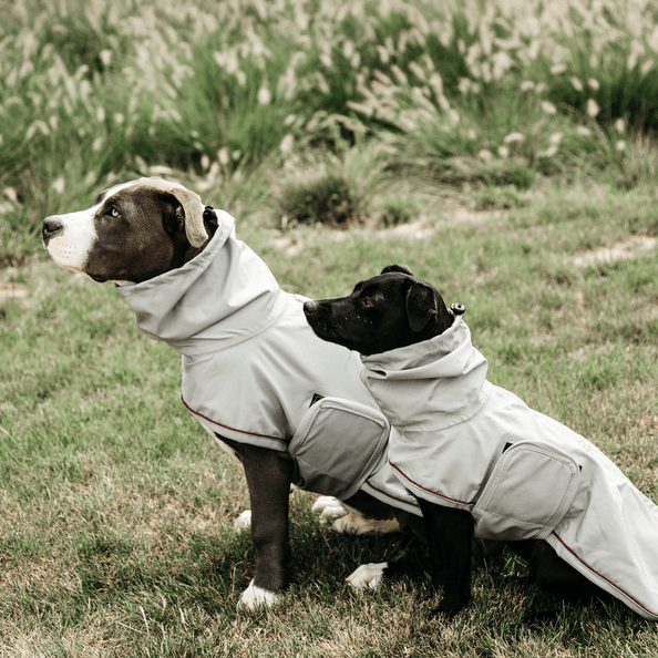 Kentucky Dog Raincoat Dogwear - Maddelin Equestrian Kentucky
