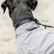 Kentucky Dog Raincoat Dogwear - Maddelin Equestrian Kentucky