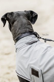 Kentucky Dog Raincoat Dogwear - Maddelin Equestrian Kentucky