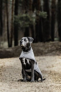 Kentucky Dog Raincoat Dogwear - Maddelin Equestrian Kentucky