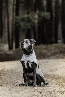 Kentucky Dog Raincoat Dogwear - Maddelin Equestrian Kentucky