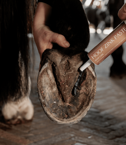 Kentucky Equi Hoef Zink Pasta Hoefverzorging - Maddelin Equestrian Kentucky