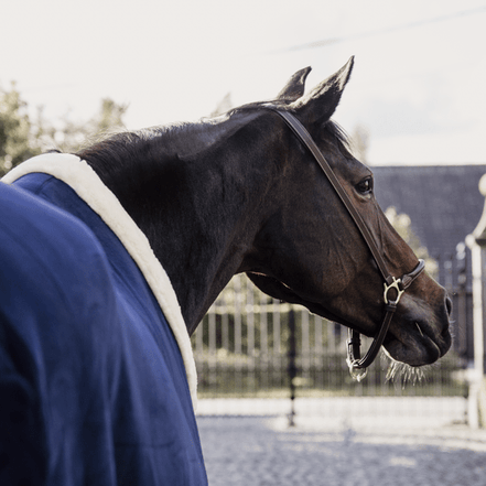 Kentucky Fleece Show Paardendeken Heavy Zweetdekens - Maddelin Equestrian Kentucky