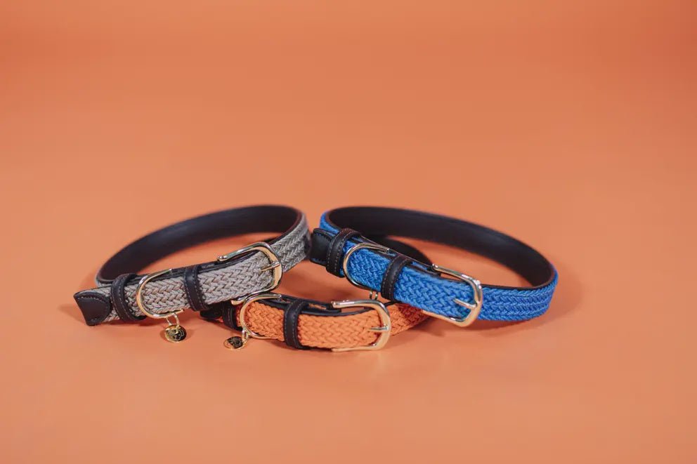 Kentucky Gevlochten nylon hondenhalsband Dogwear - Maddelin Equestrian Kentucky