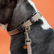Kentucky Gevlochten nylon hondenhalsband Dogwear - Maddelin Equestrian Kentucky