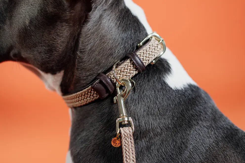 Kentucky Gevlochten nylon hondenhalsband Dogwear - Maddelin Equestrian Kentucky