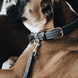 Kentucky Gevlochten Nylon hondenlijn Dogwear - Maddelin Equestrian Kentucky