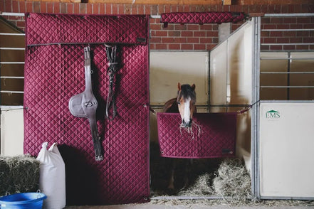 Kentucky Head Protector Stalbenodigdheden - Maddelin Equestrian Kentucky