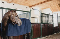 Kentucky Heavy Fleece Paardendeken Square Zweetdekens - Maddelin Equestrian Kentucky