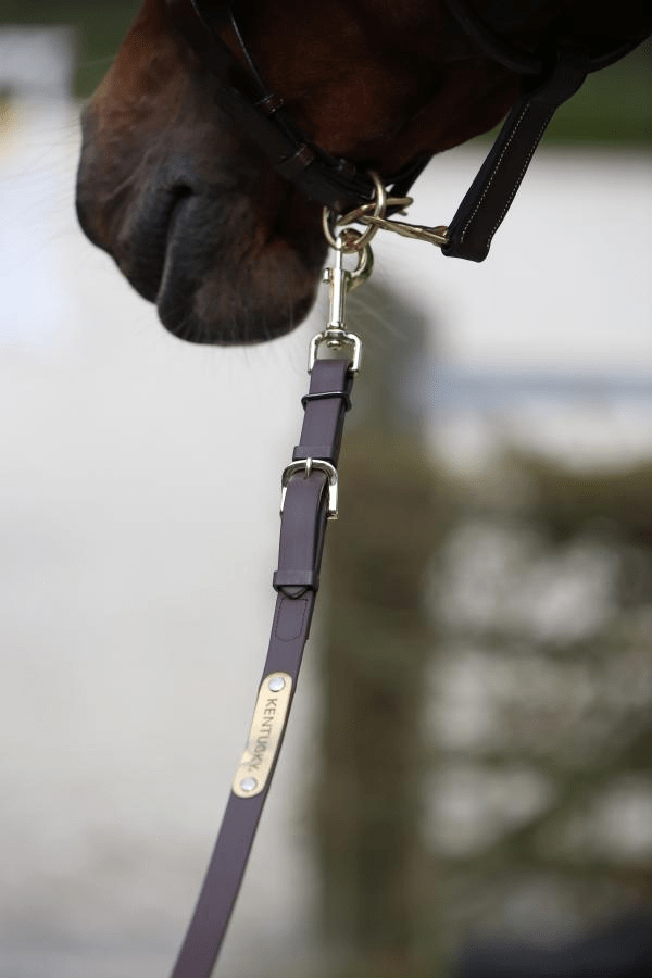 Kentucky Hengstenpresentatielijn Zwart 4m Touwen - Maddelin Equestrian Kentucky