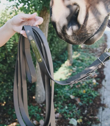 Kentucky Hengstenpresentatielijn Zwart 4m Touwen - Maddelin Equestrian Kentucky