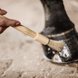 Kentucky Hoefkwast Hoefverzorging - Maddelin Equestrian Kentucky