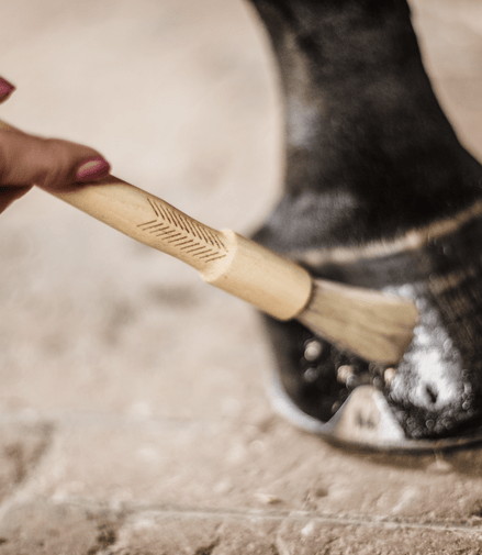 Kentucky Hoefkwast Hoefverzorging - Maddelin Equestrian Kentucky