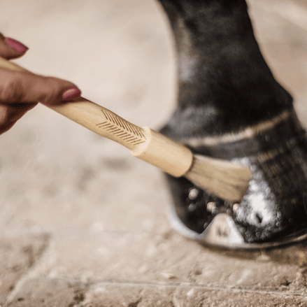Kentucky Hoefkwast Hoefverzorging - Maddelin Equestrian Kentucky