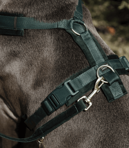 Kentucky Honden Harnas Active Velvet Dogwear - Maddelin Equestrian Kentucky