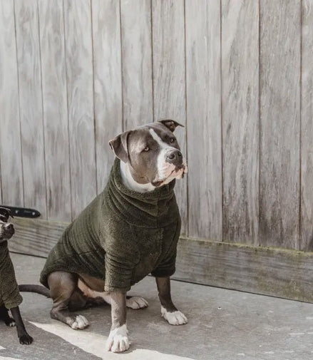 Kentucky Honden sweater Teddy Fleece Dogwear - Maddelin Equestrian Kentucky