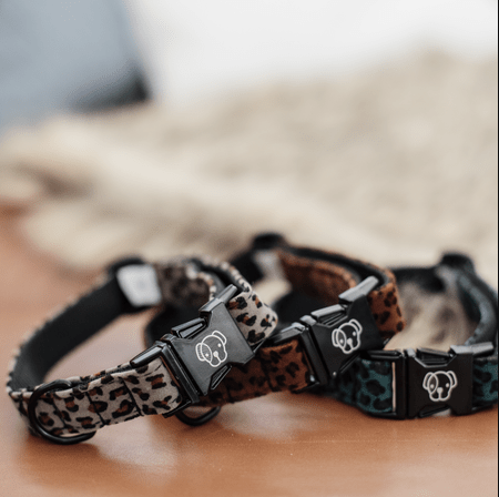 Kentucky Hondenhalsband Leopard Dogwear - Maddelin Equestrian Kentucky