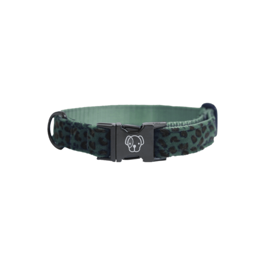 Kentucky Hondenhalsband Leopard Dogwear - Maddelin Equestrian Kentucky