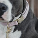 Kentucky Hondenhalsband Velvet Dogwear - Maddelin Equestrian Kentucky
