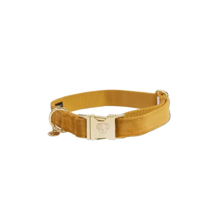Kentucky Hondenhalsband Velvet Dogwear - Maddelin Equestrian Kentucky