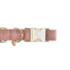 Kentucky Hondenhalsband Velvet Dogwear - Maddelin Equestrian Kentucky