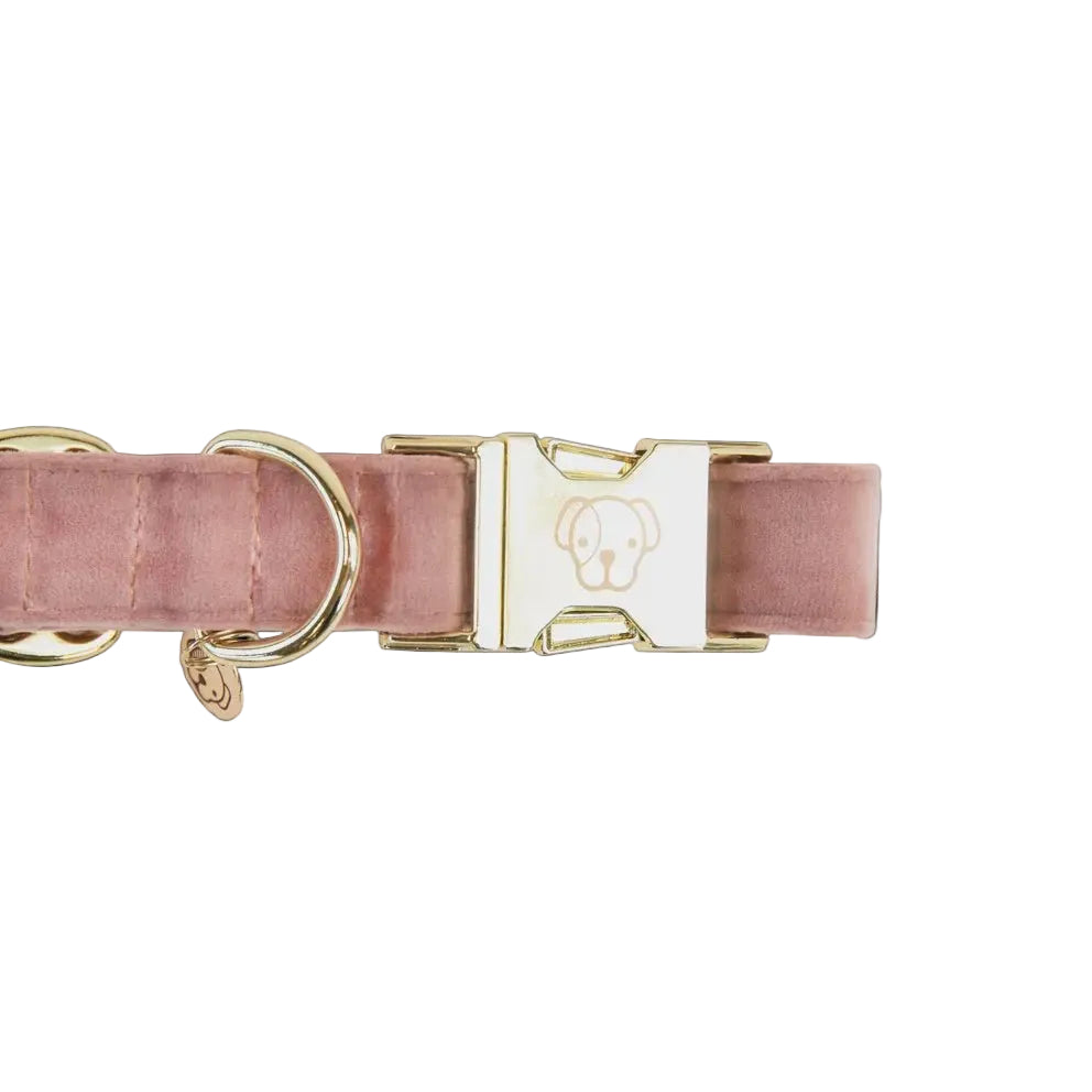 Kentucky Hondenhalsband Velvet Dogwear - Maddelin Equestrian Kentucky