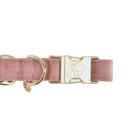 Kentucky Hondenhalsband Velvet Dogwear - Maddelin Equestrian Kentucky