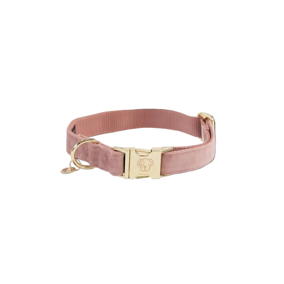 Kentucky Hondenhalsband Velvet Dogwear - Maddelin Equestrian Kentucky