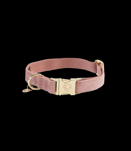 Kentucky Hondenhalsband Velvet Dogwear - Maddelin Equestrian Kentucky