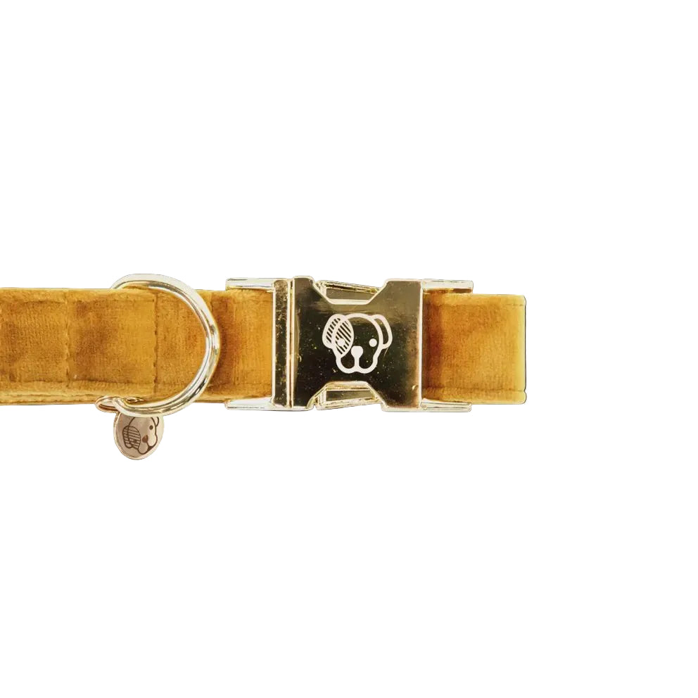 Kentucky Hondenhalsband Velvet Dogwear - Maddelin Equestrian Kentucky