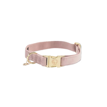 Kentucky Hondenhalsband Velvet Dogwear - Maddelin Equestrian Kentucky